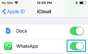 允许 WhatsApp 在 iPhone 上访问 iCloud